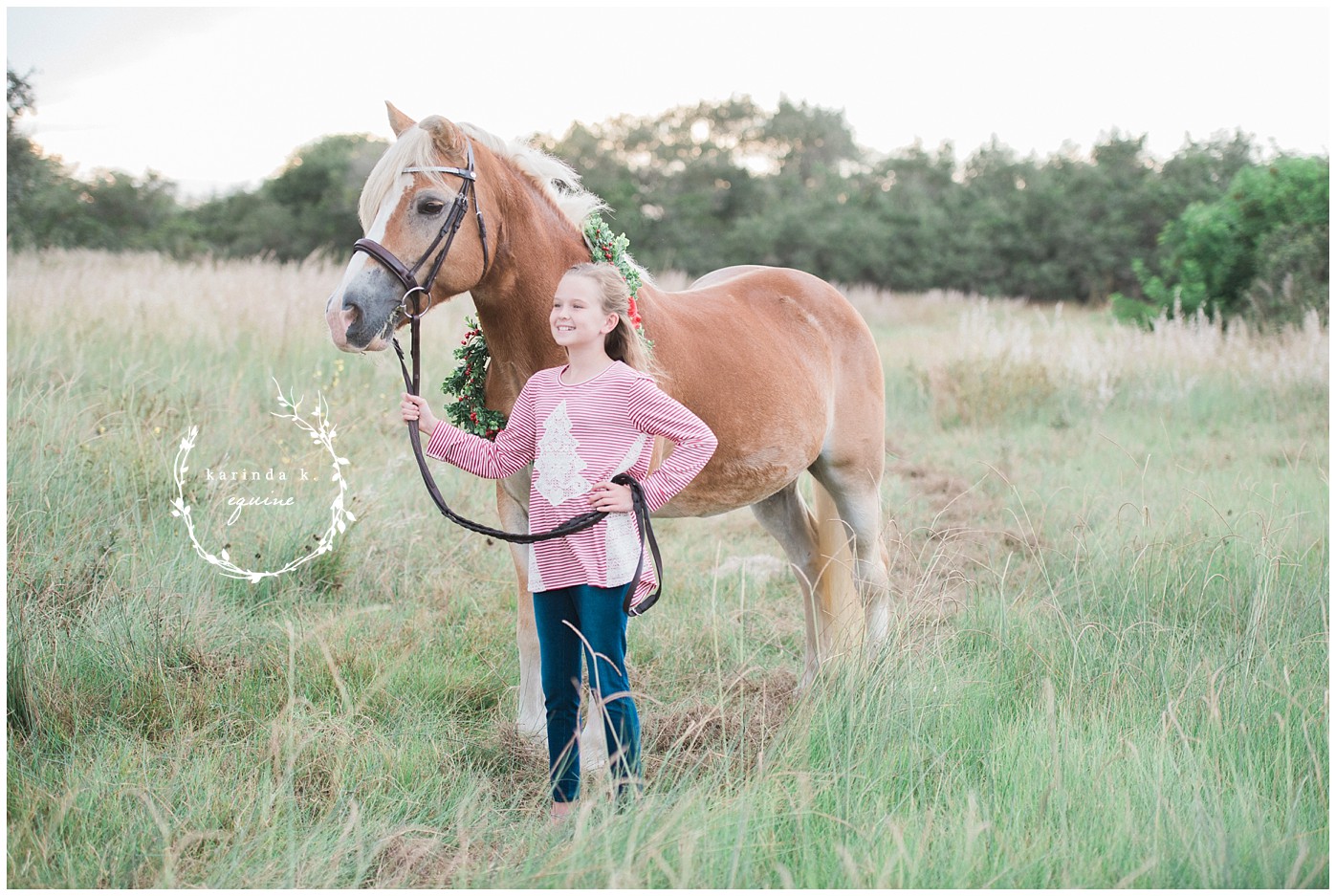 Christmas Horse Pictures 