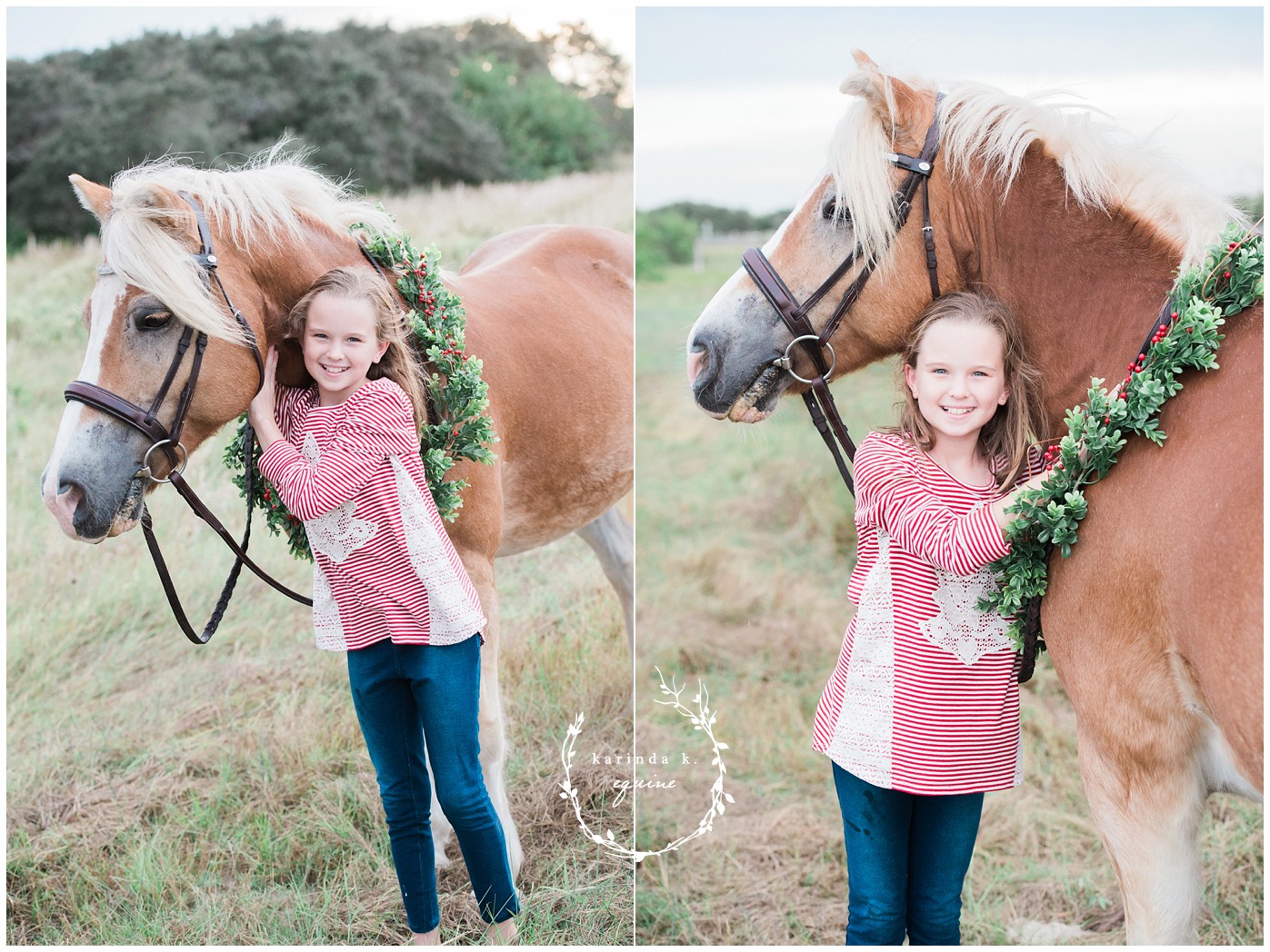 Texas Equine Photographer 