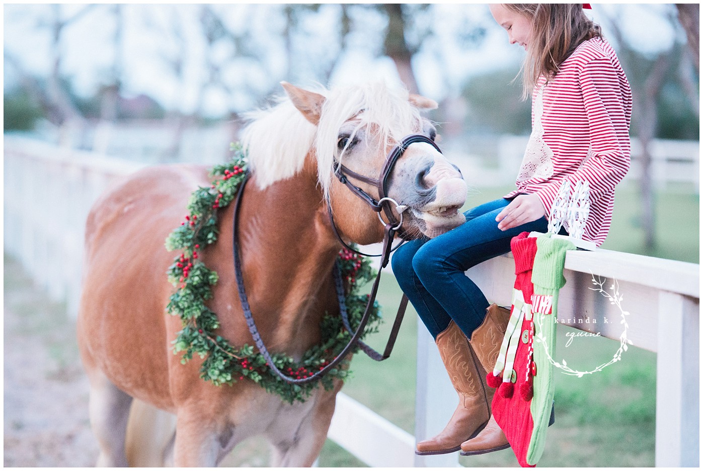 Horse and Rider Pictures Kentucky 