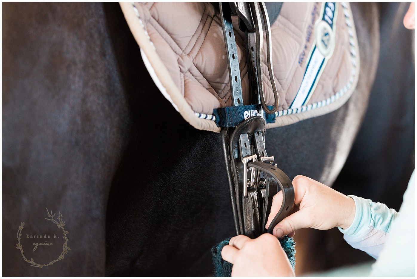 Corpus Christi Equine Photographer | Karinda K Texas Equine Photography | equine.test.karindak.com