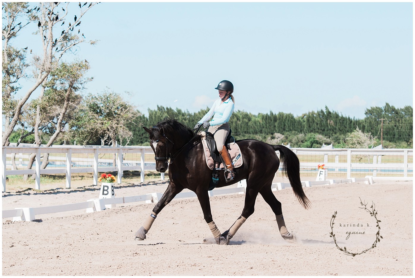 Corpus Christi Equine Photographer | Karinda K Texas Equine Photography | equine.test.karindak.com