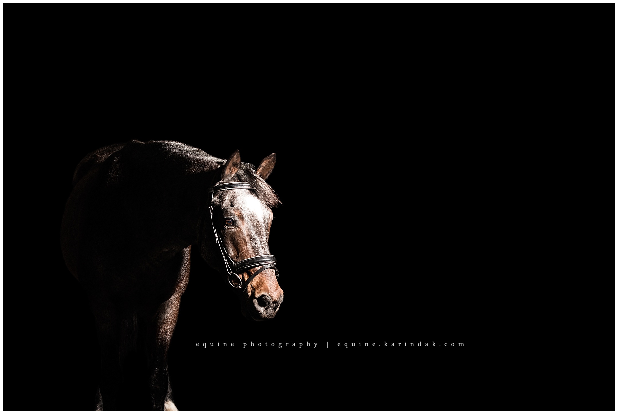 Double Diamond Equestrian Center Boerne,TX