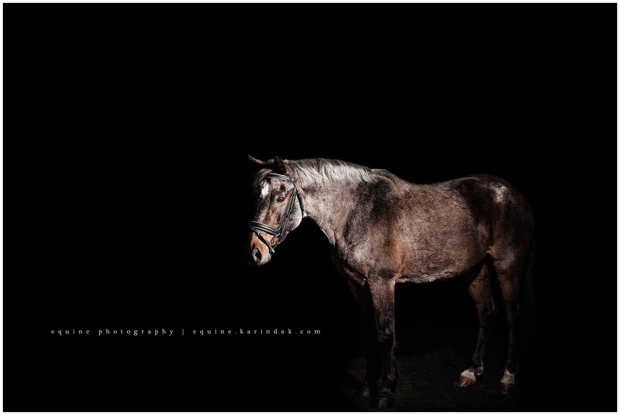 Double Diamond Equestrian Center Boerne,TX