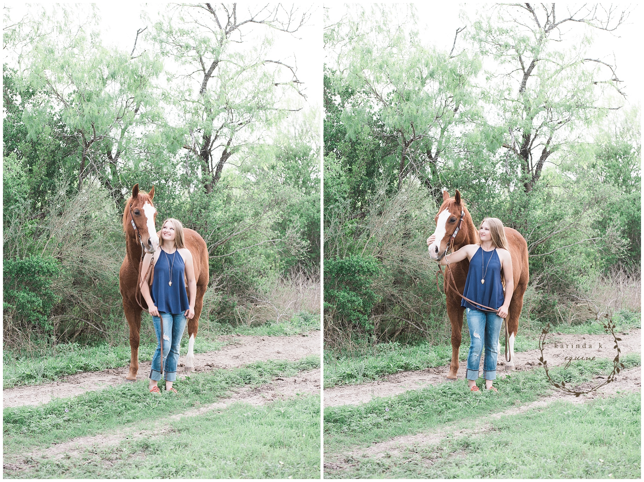 Dallas Equine Photography | Karinda K Texas Equine Photography | equine.test.karindak.com