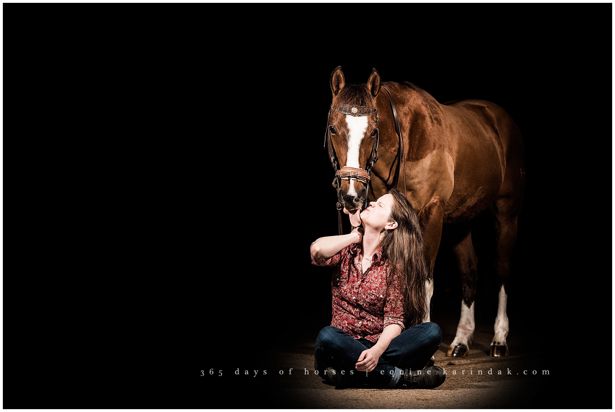 Texas Equine Photographer | Karinda K Texas Equine Photography | equine.test.karindak.com