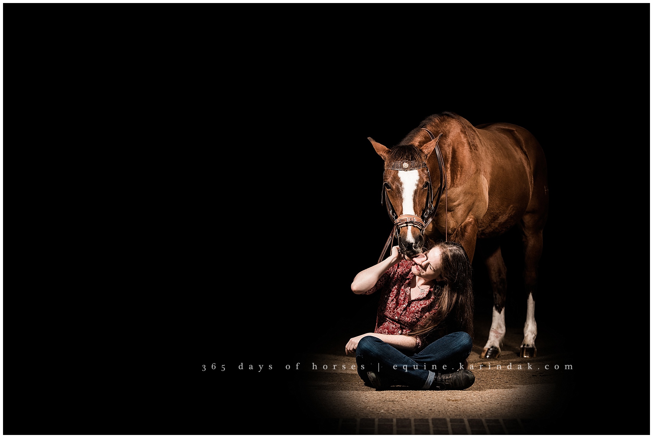 Texas Equine Photographer | Karinda K Texas Equine Photography | equine.test.karindak.com