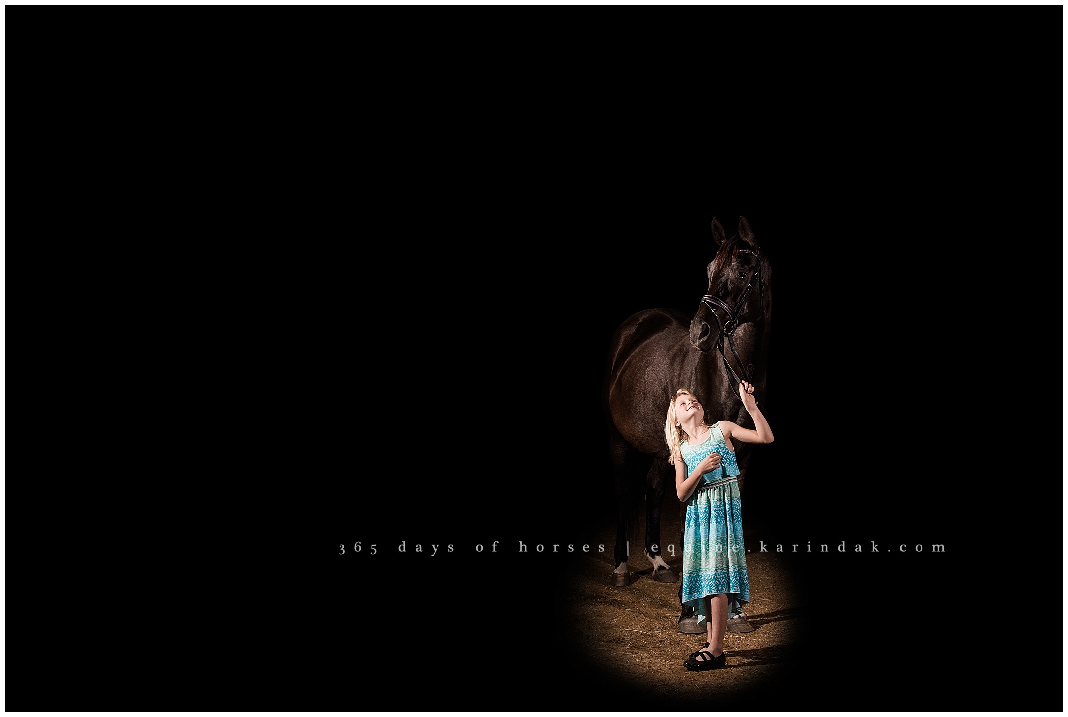 Ocala Florida Equine Photographer | Karinda K Texas Equine Photography | equine.test.karindak.com