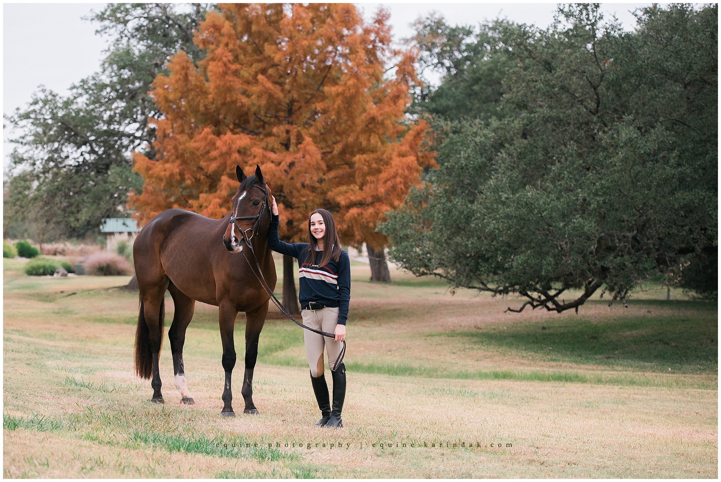 Fall Horse & Rider Portraits Dripping Springs,TX