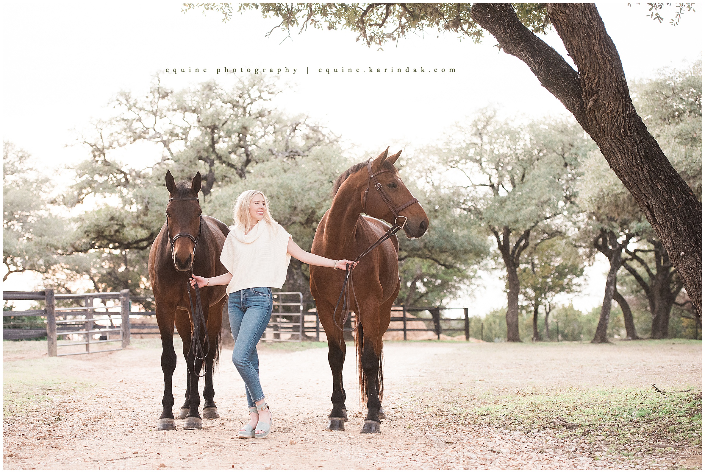 Horse Portraits San Antonio TX