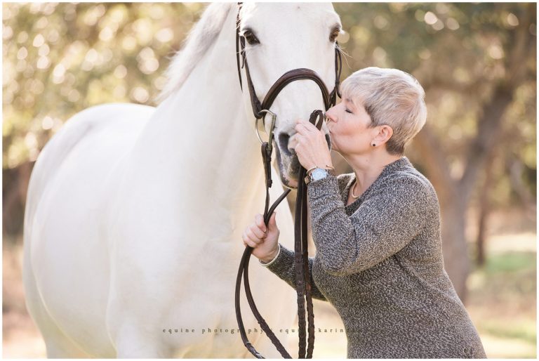 Clintino | Silver Fox Farms Wimberly,TX Hunter Jumper