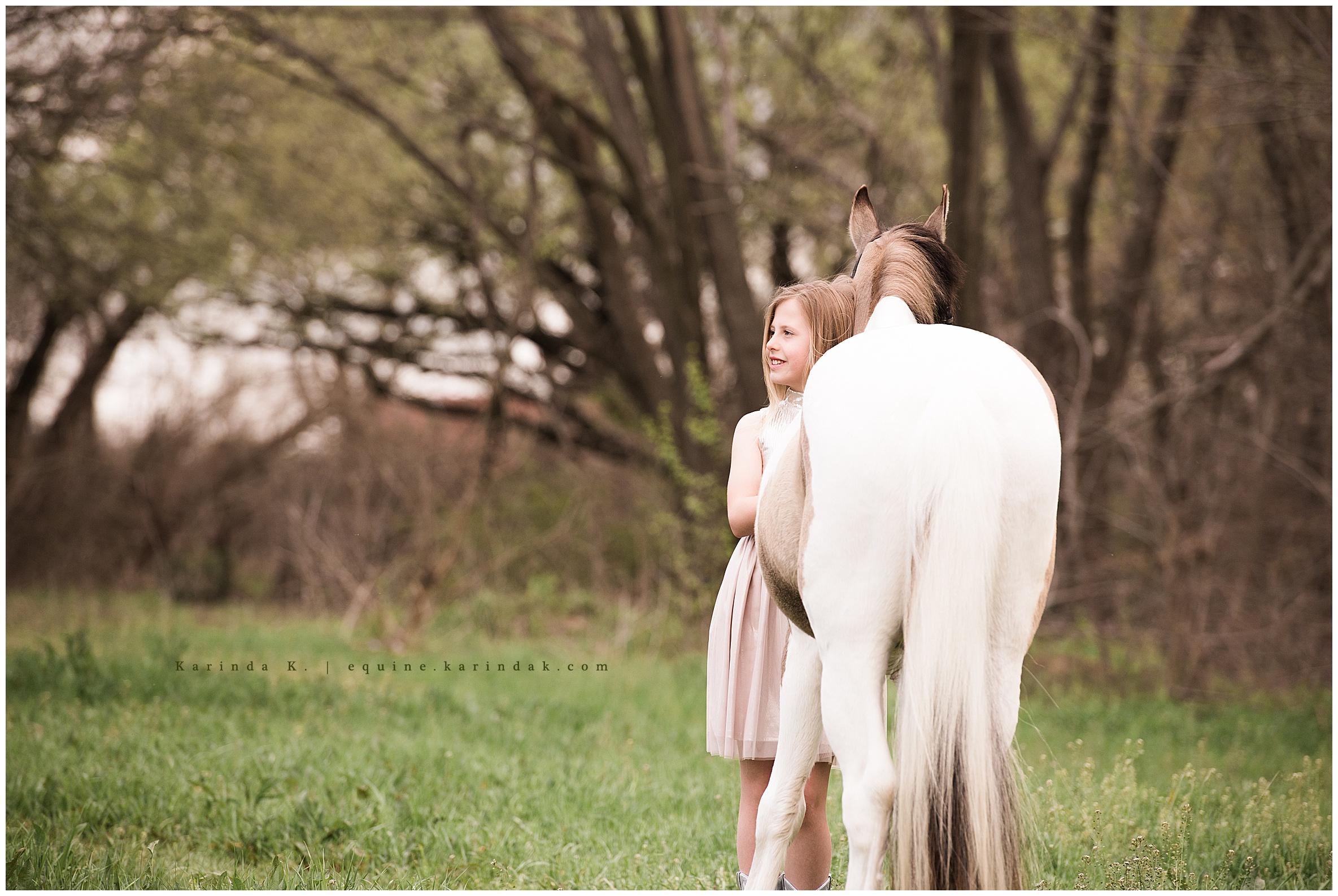 roacking m stables dallas, tx horse and rider portraits 