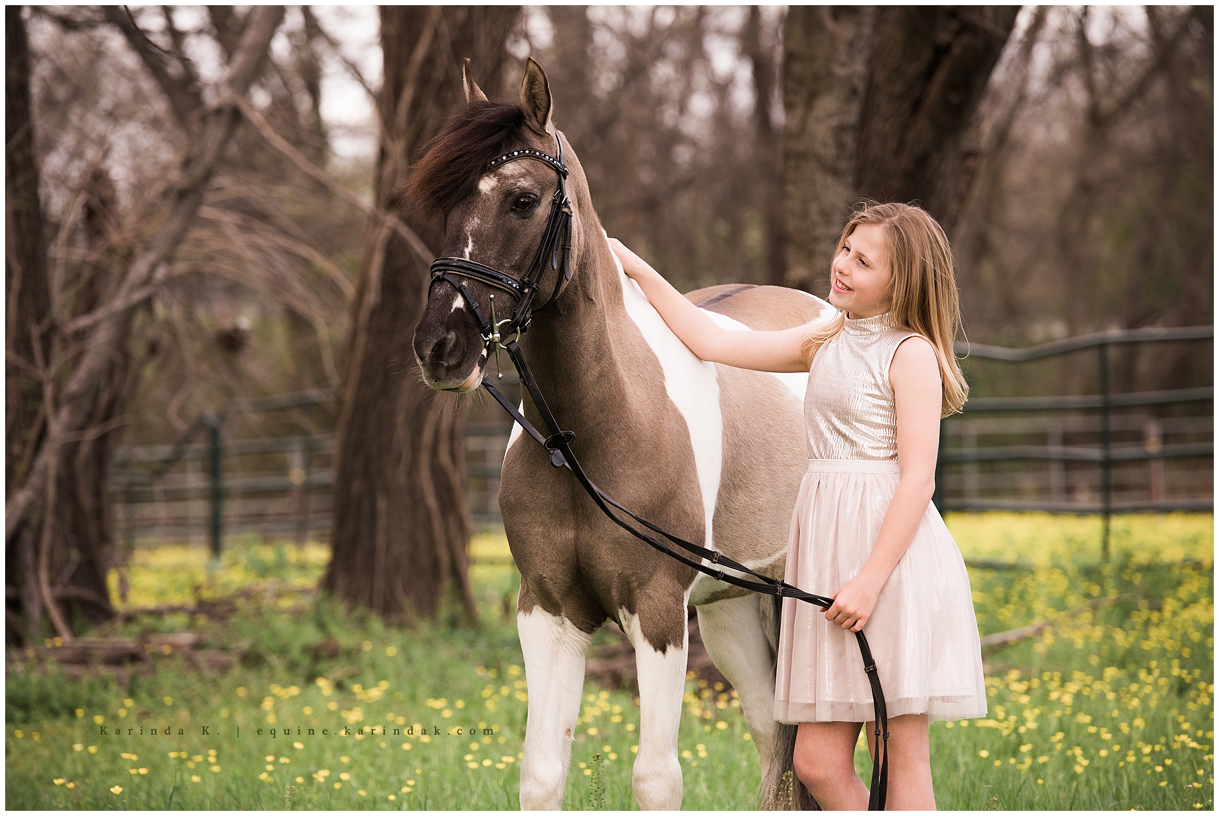equine photographer dallas tx