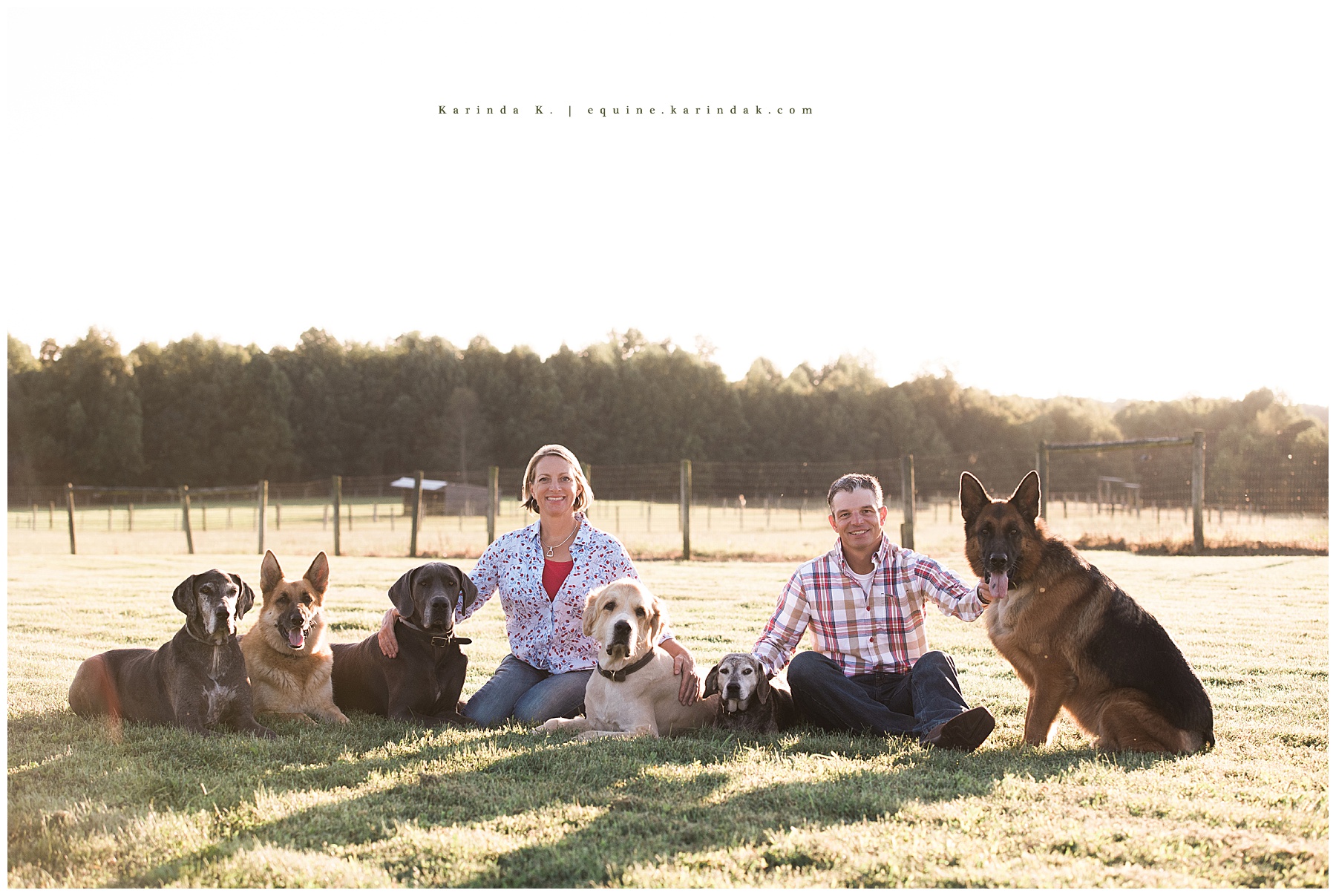 family dog portraits 