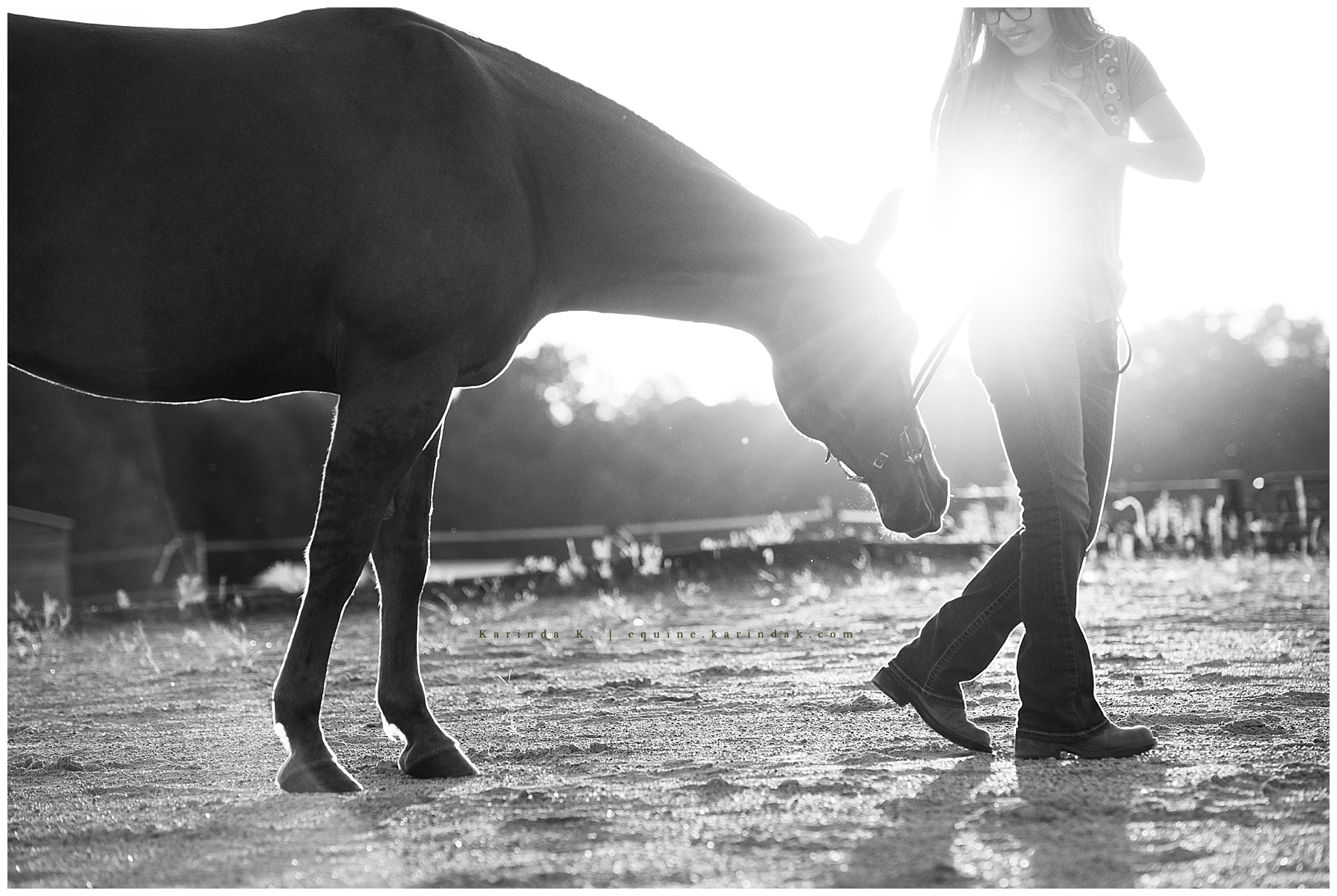horse and rider kentucky portraits 