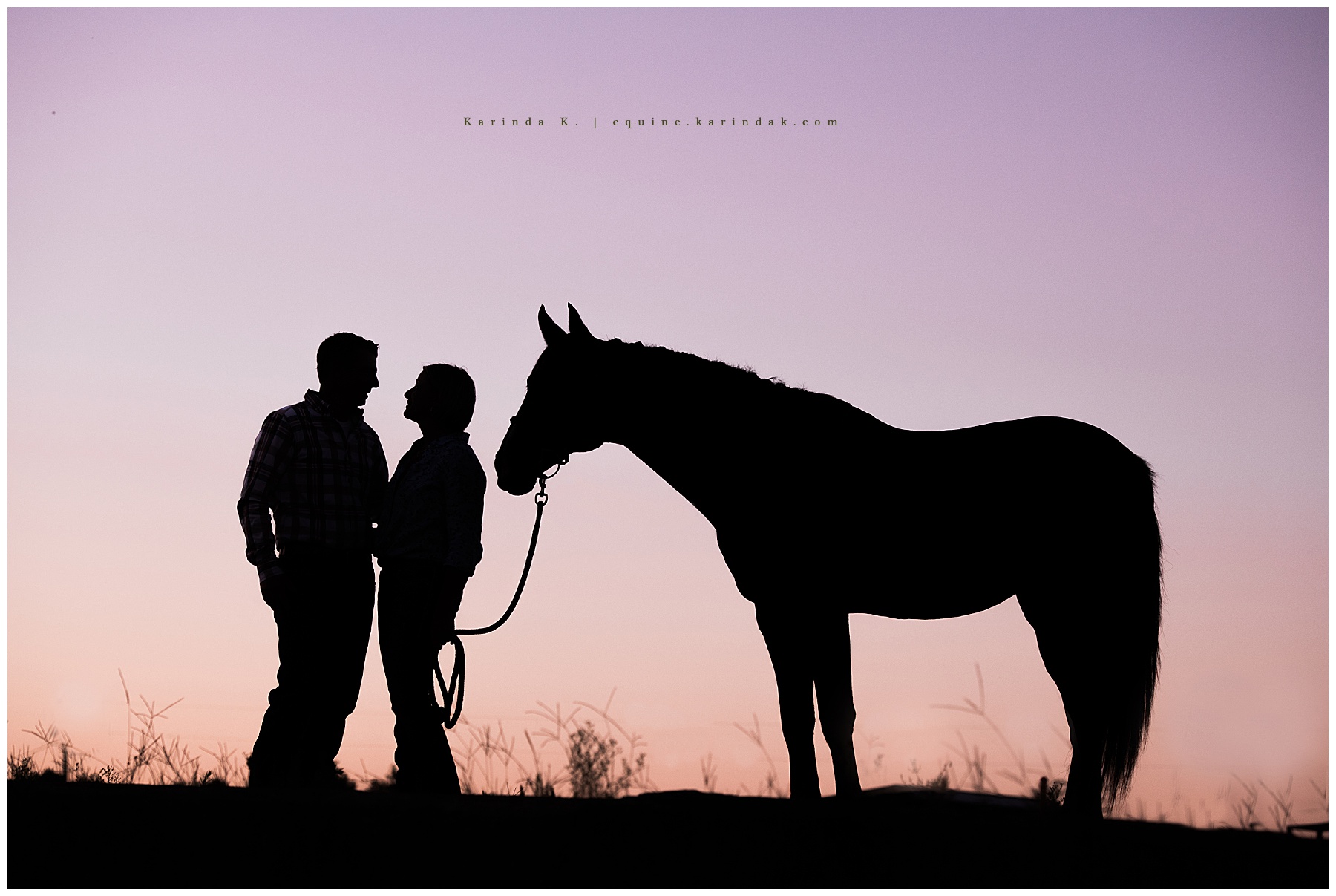 horse and rider sunset kentucky portraits 