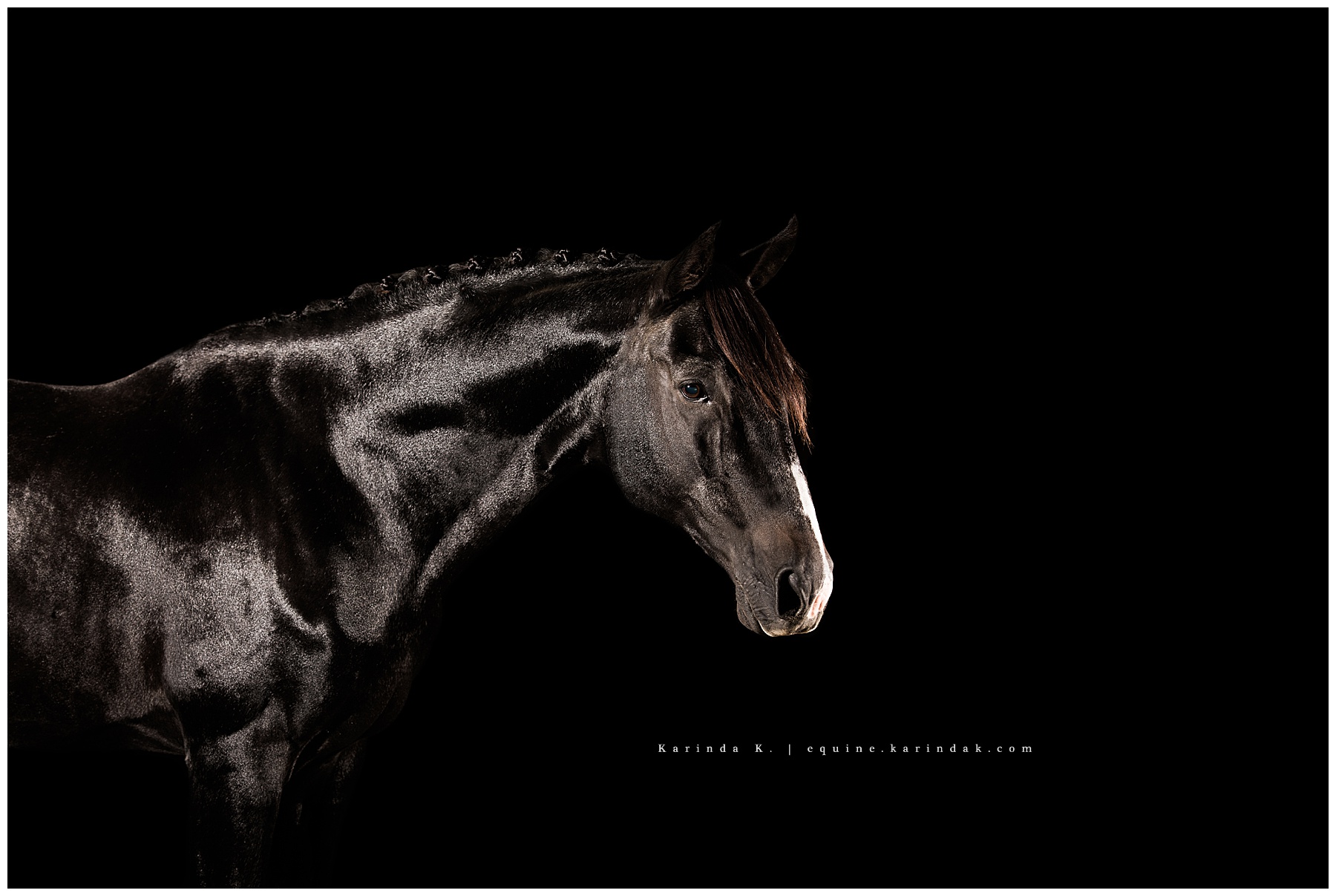 Halcyon Hill LLC in Elizabethtown, KY