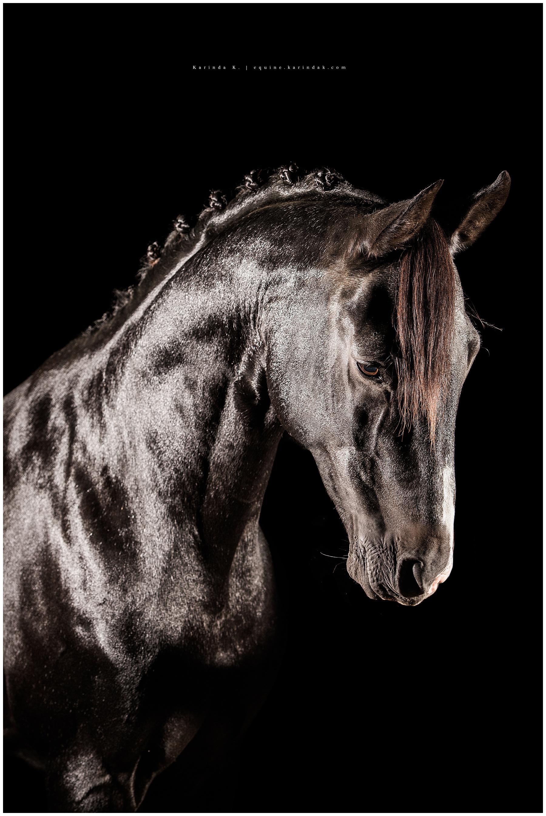 Fine Art Black Background Portraits in Kentucky 