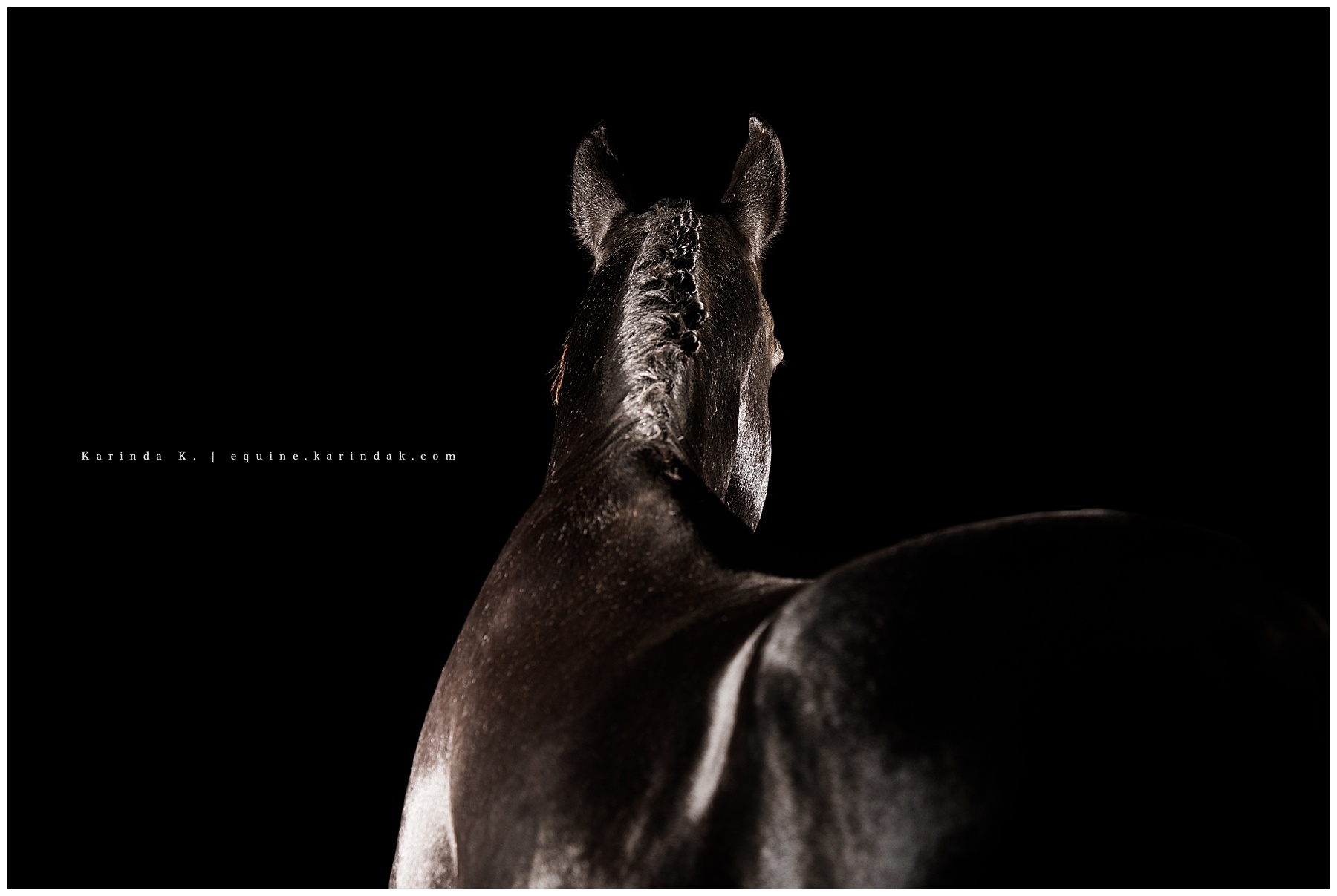Detail Braid Photos of a horse from Behind Portrait Photographer Kentucky 