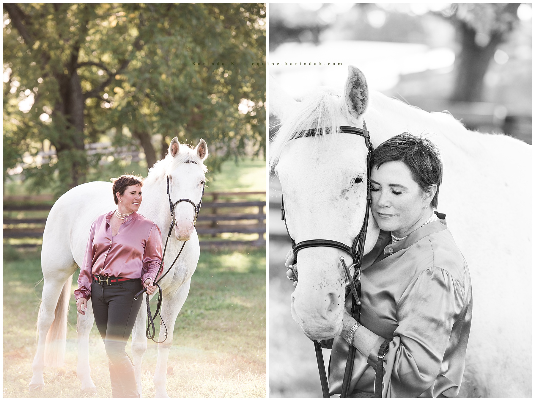 Equestrian Portraits one Eyed Horse Kentucky