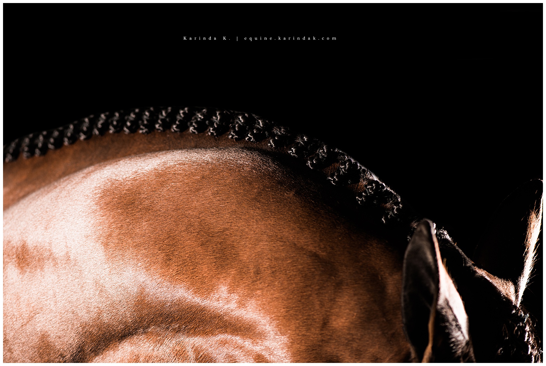 Little Bay Farm Houston TX