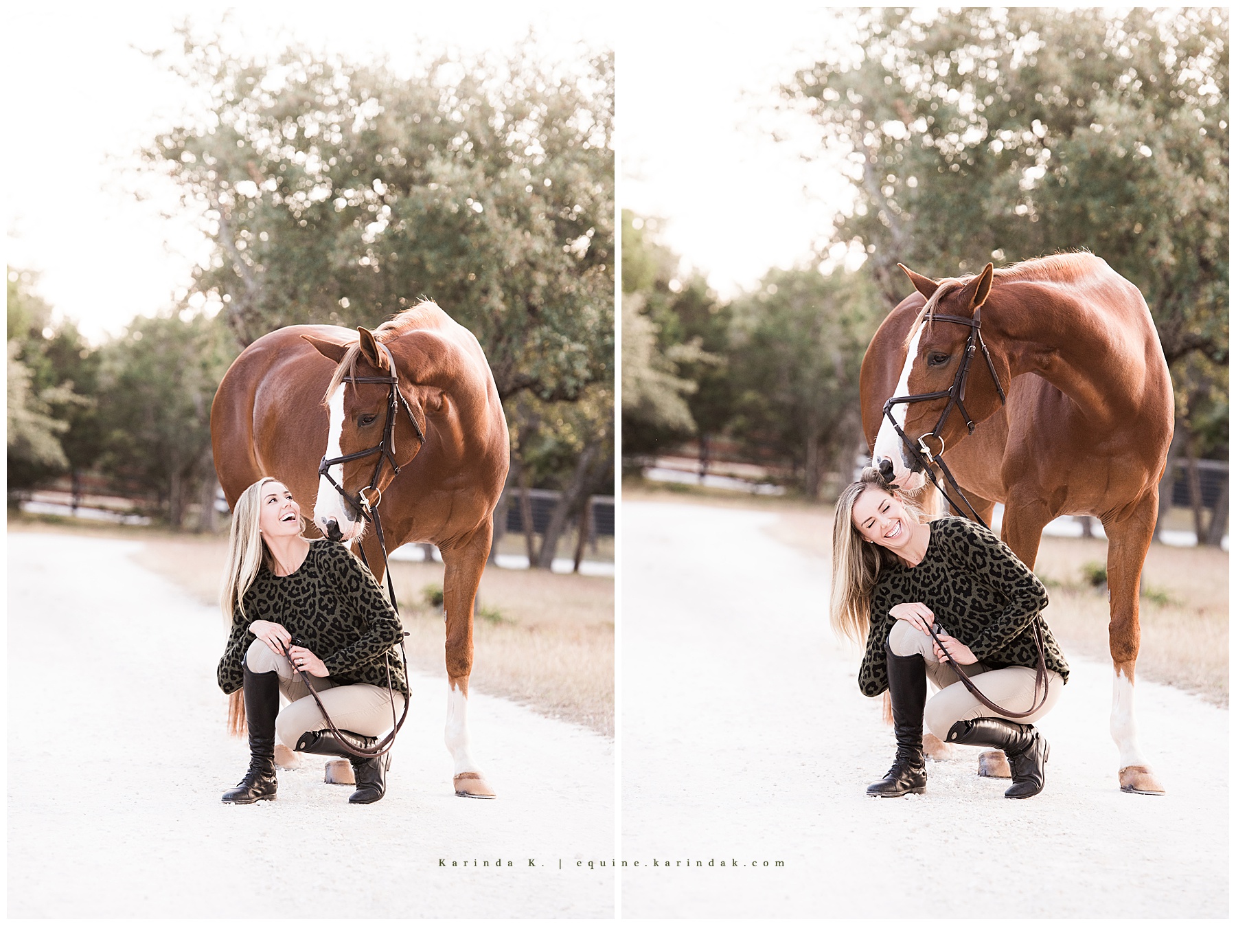 horse & rider portraits austin, tx