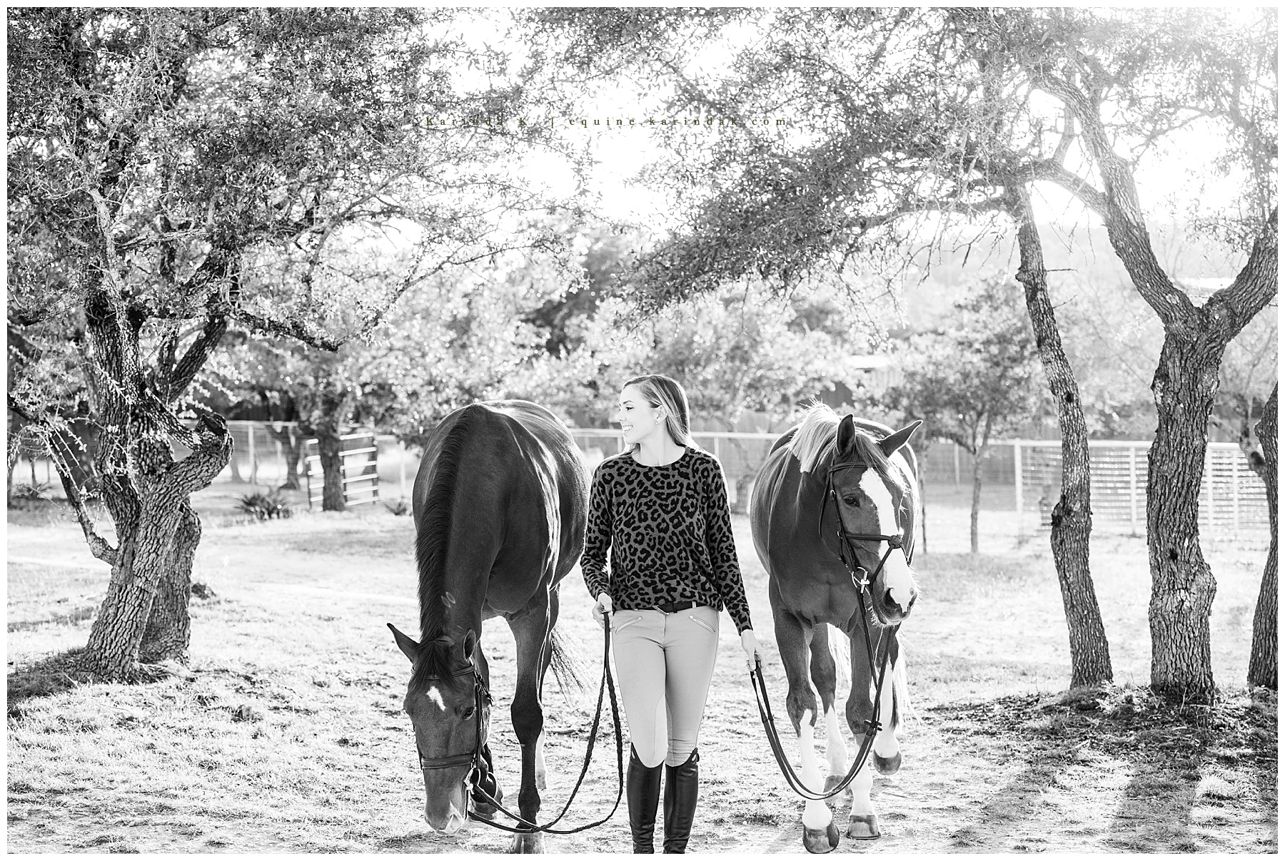 jumper horse & rider portraits 