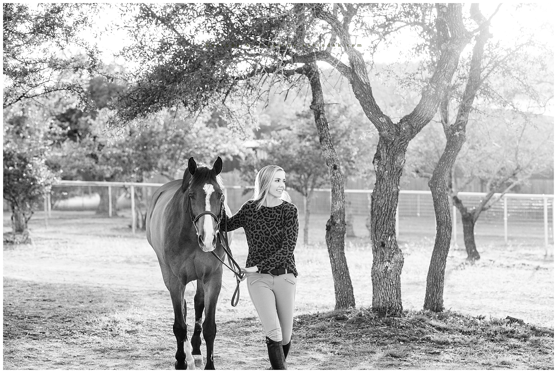 texas equine photographer