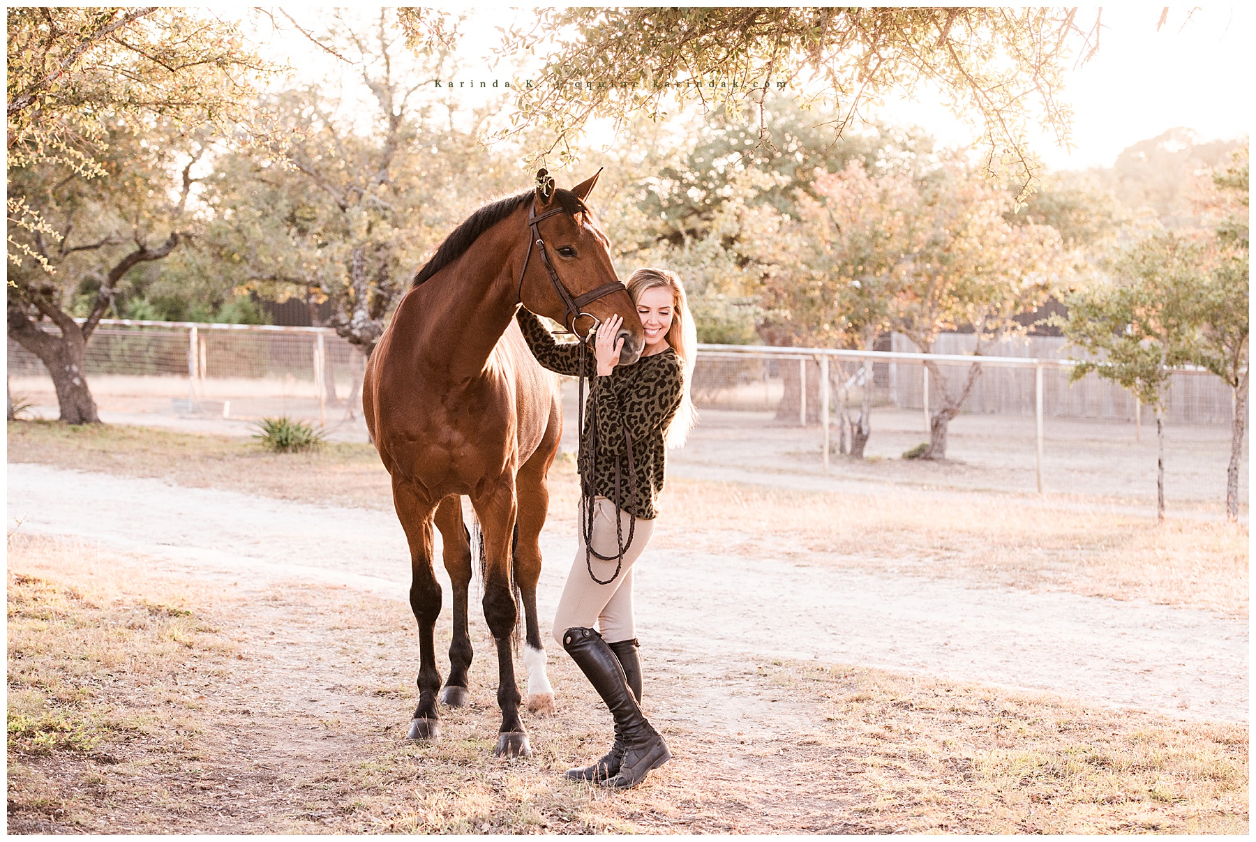 austin tx equine photographer 