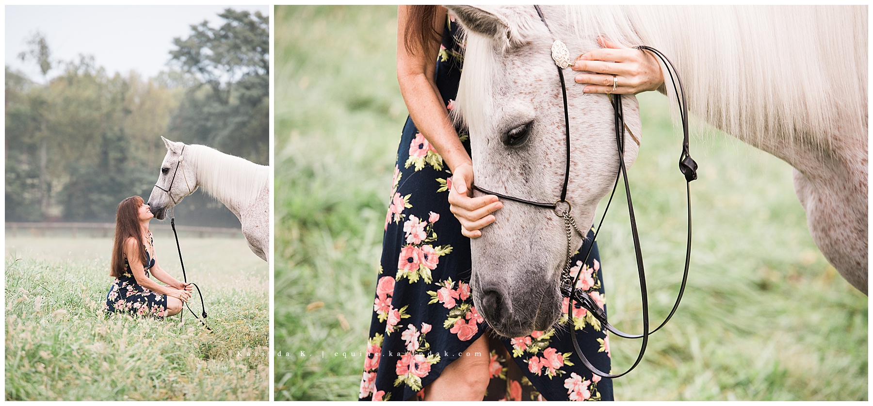 kentucky equine photographer 