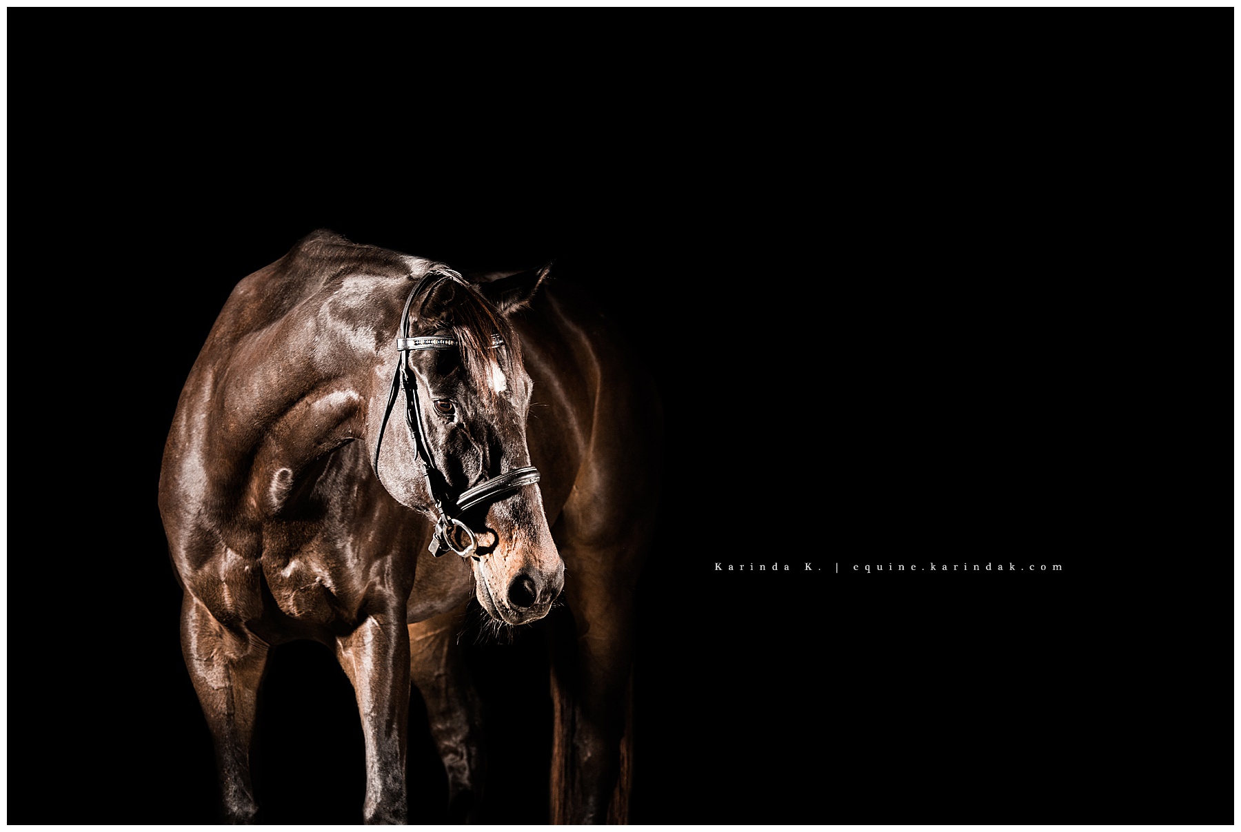 McKinney, TX black background portraits 