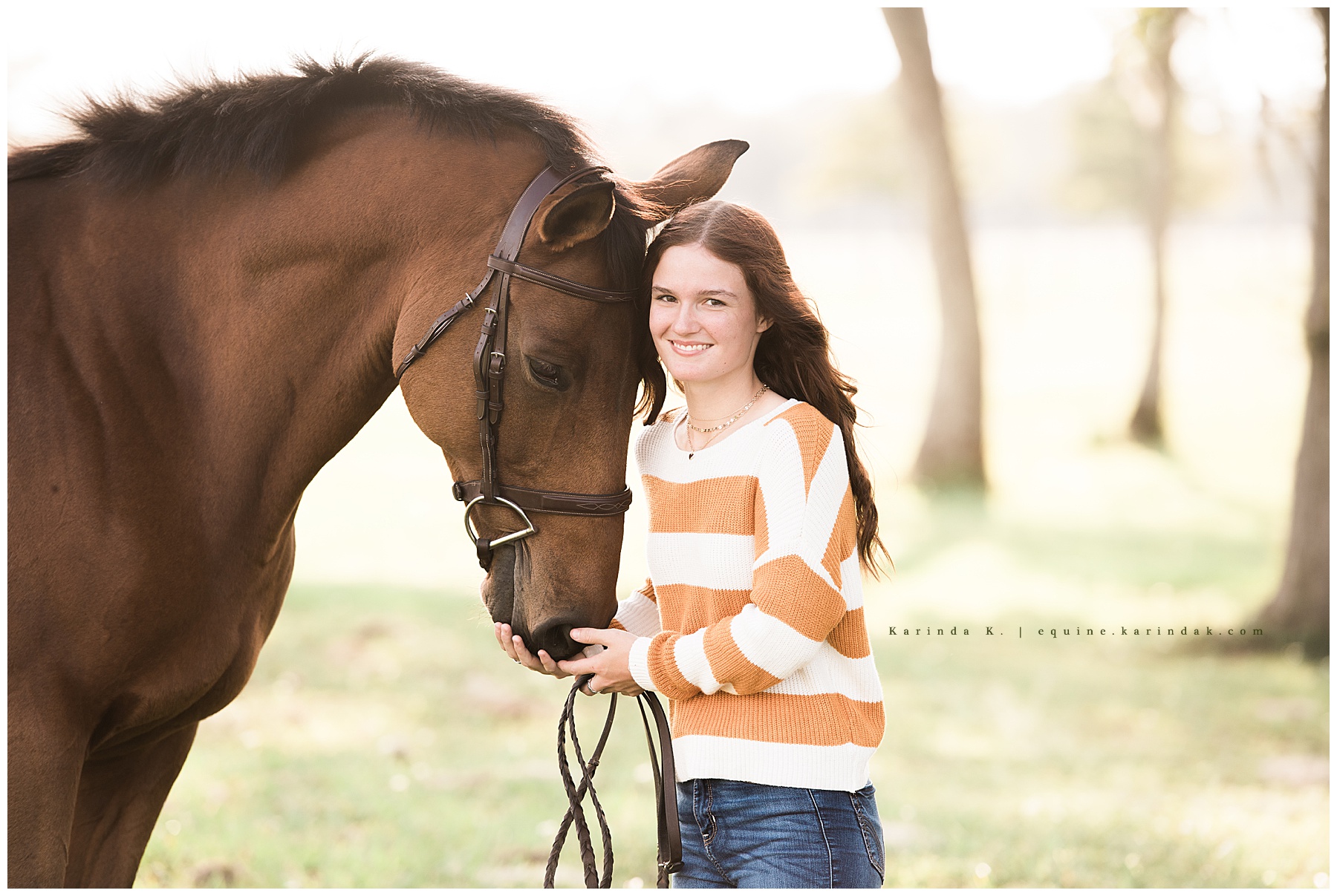 bay horse portrait with rider close up 
