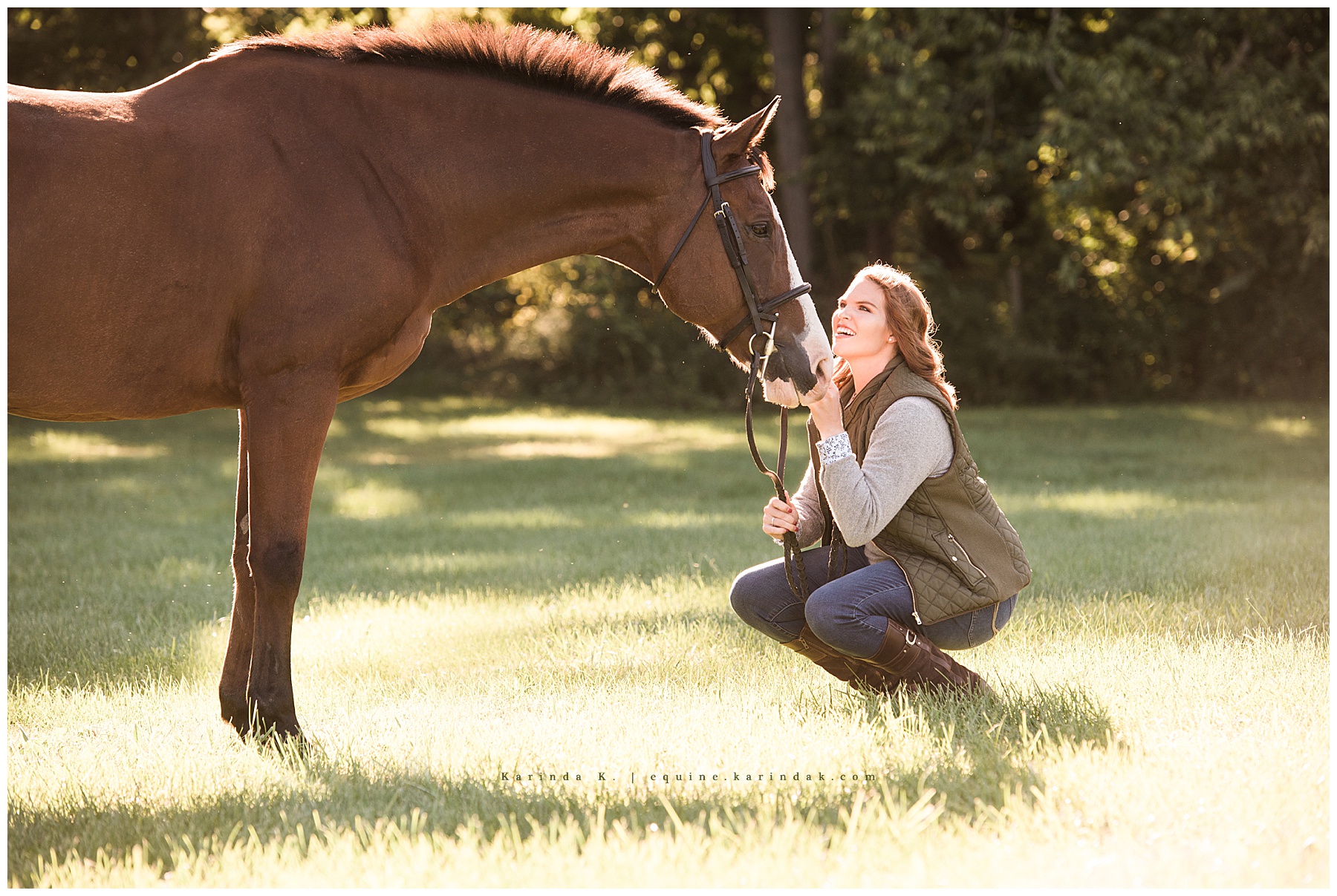 hunter jumper portraits 