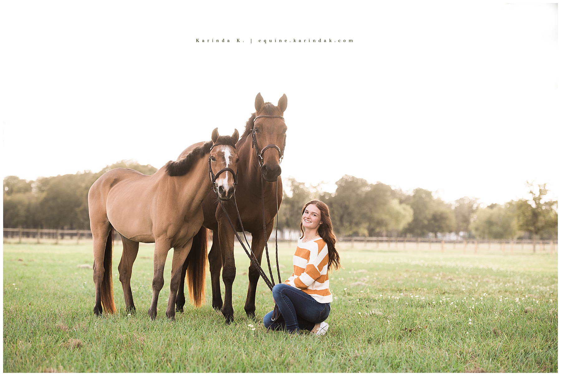 two horses and rider casual portraits houston, tx 