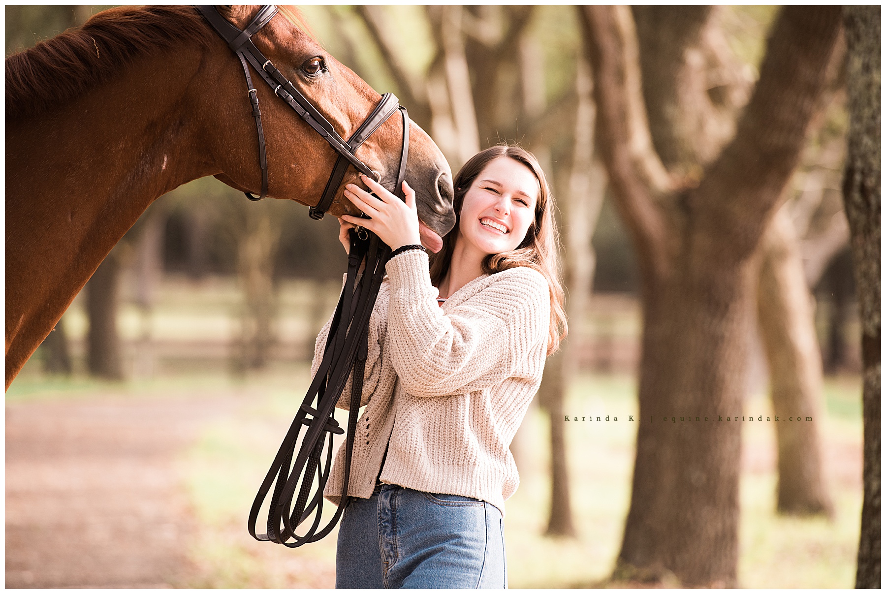 horse and rider silly portraits 