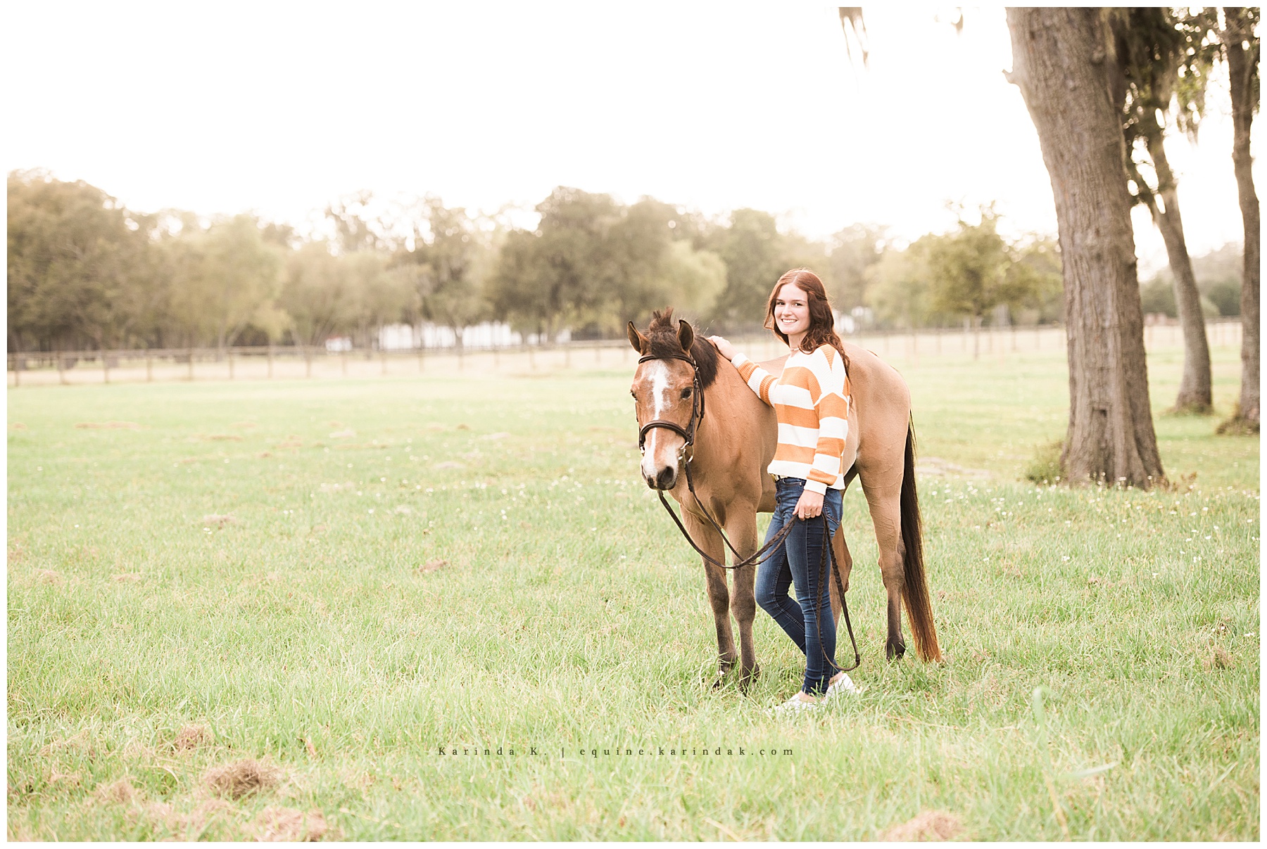 horse and rider pony portraits 