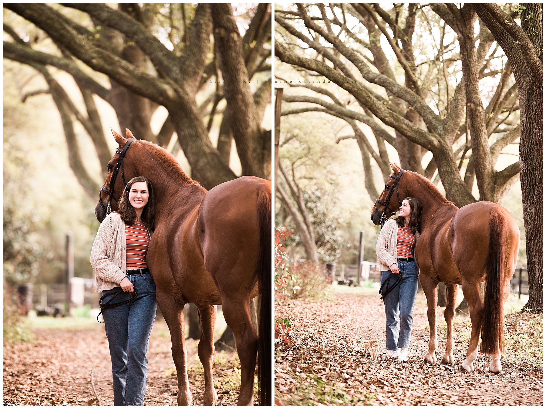 horse and rider fall portraits shot from behind 