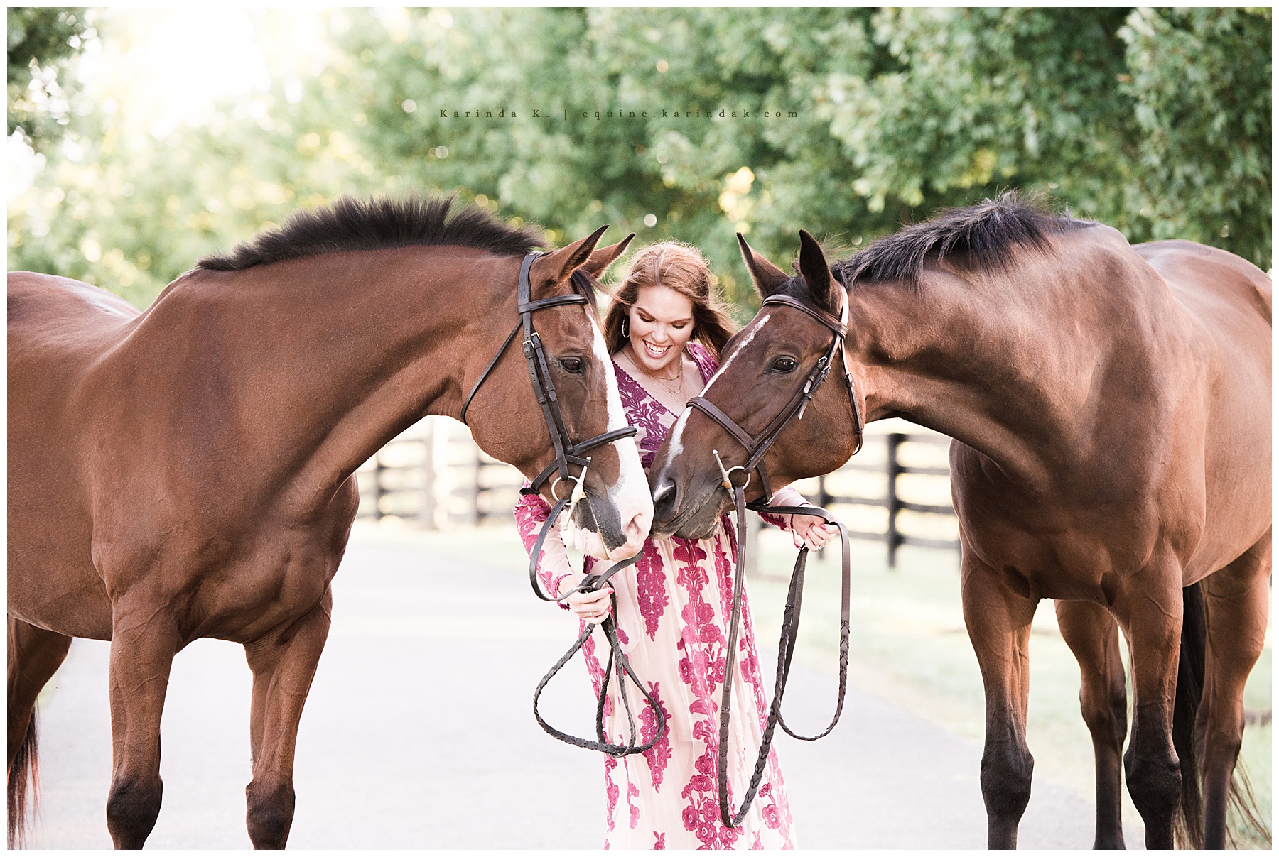 multiple horses and rider portraits 