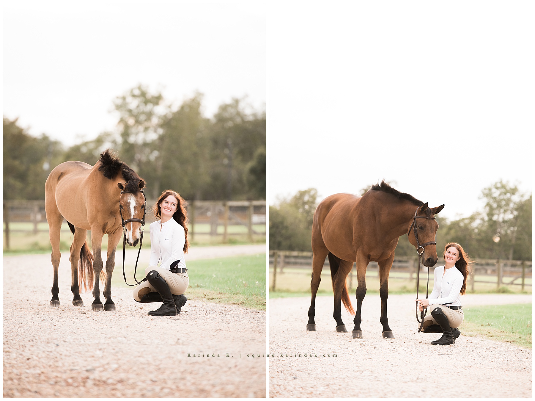 horse and rider pony and horse kneeling portrait 