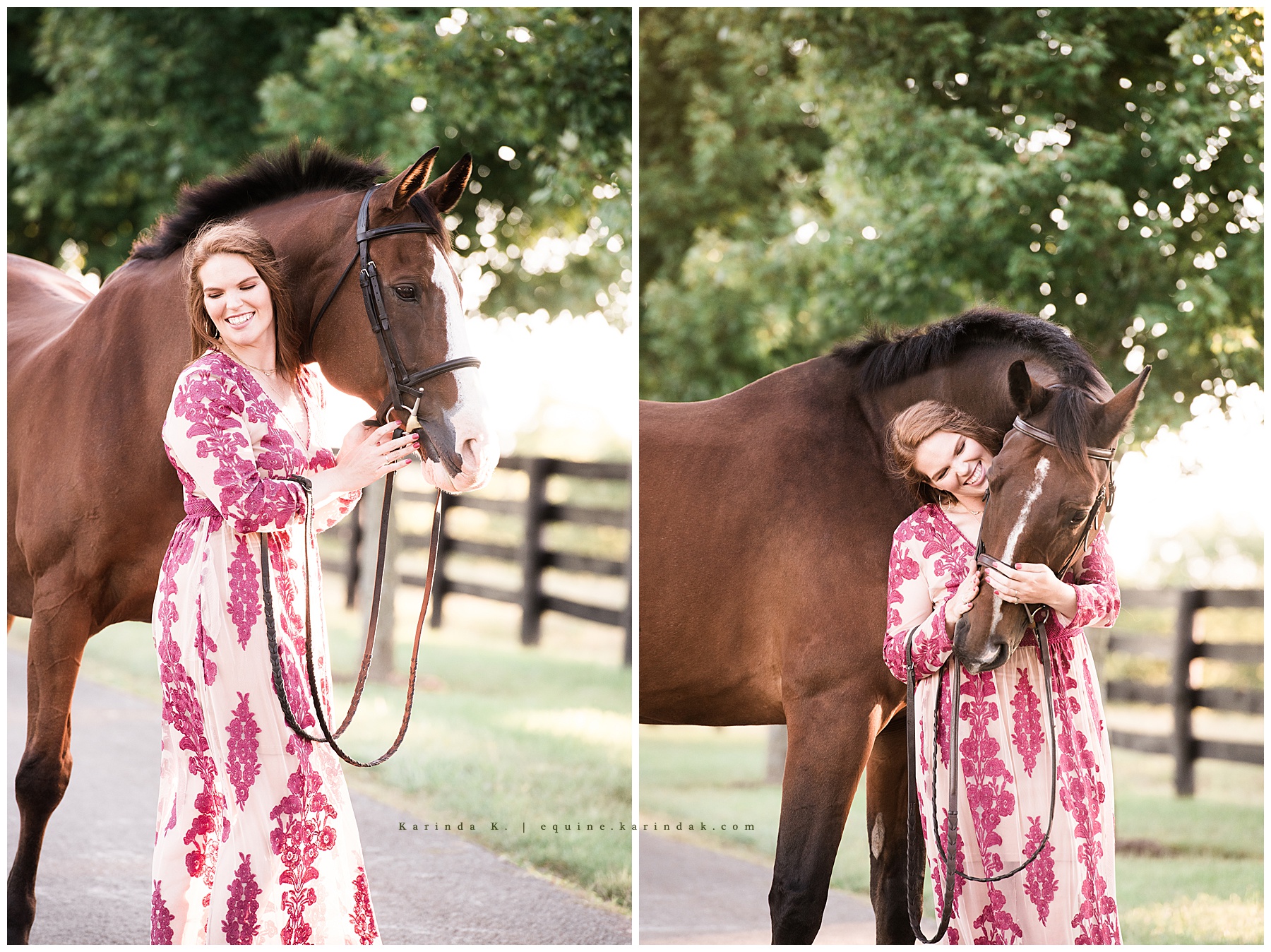 lexington, kentucky equine photographer 