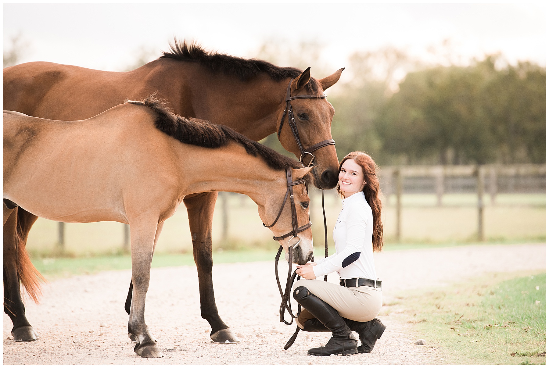 outdoor horse and rider with pony portrait