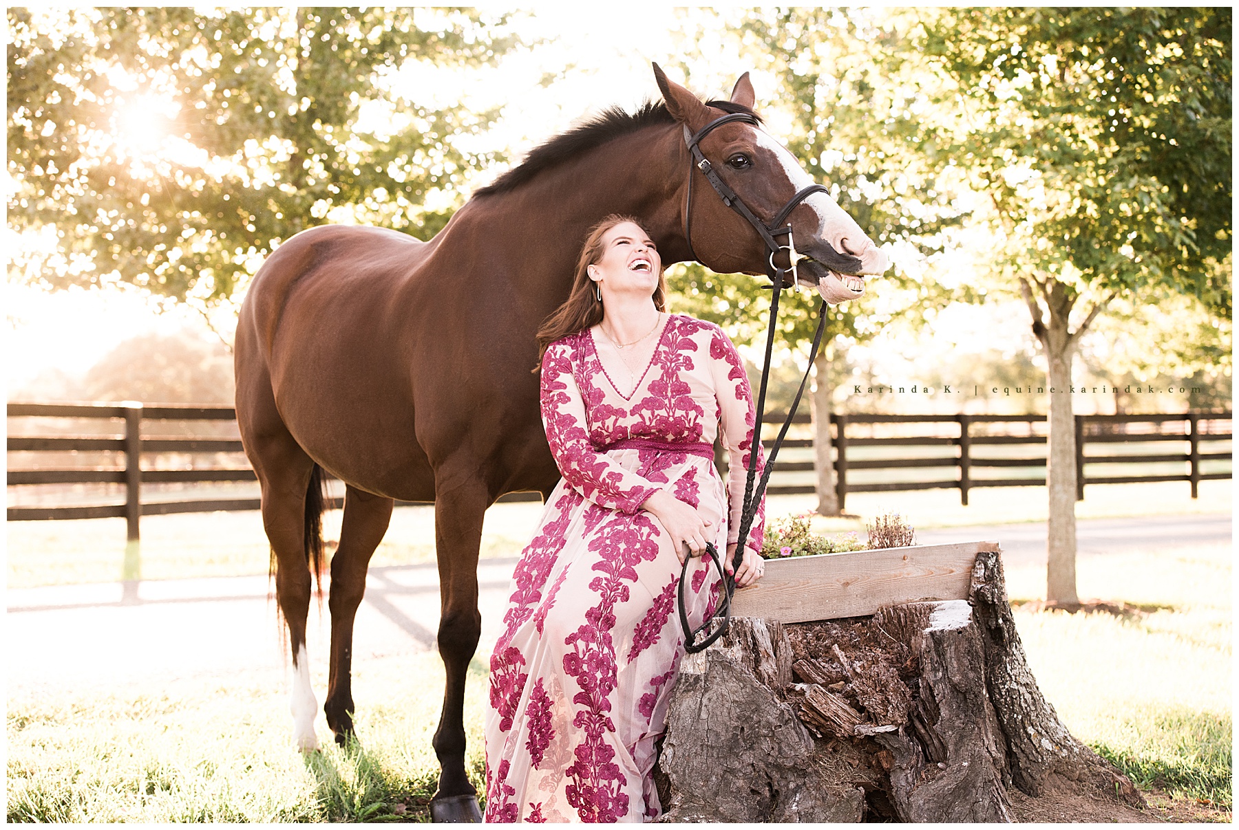 kentucky equine photographer 