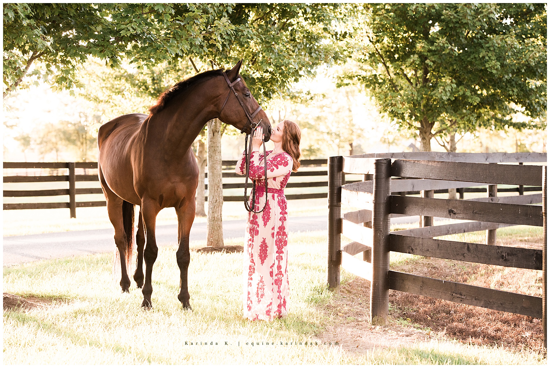 horse and rider portraits kisses