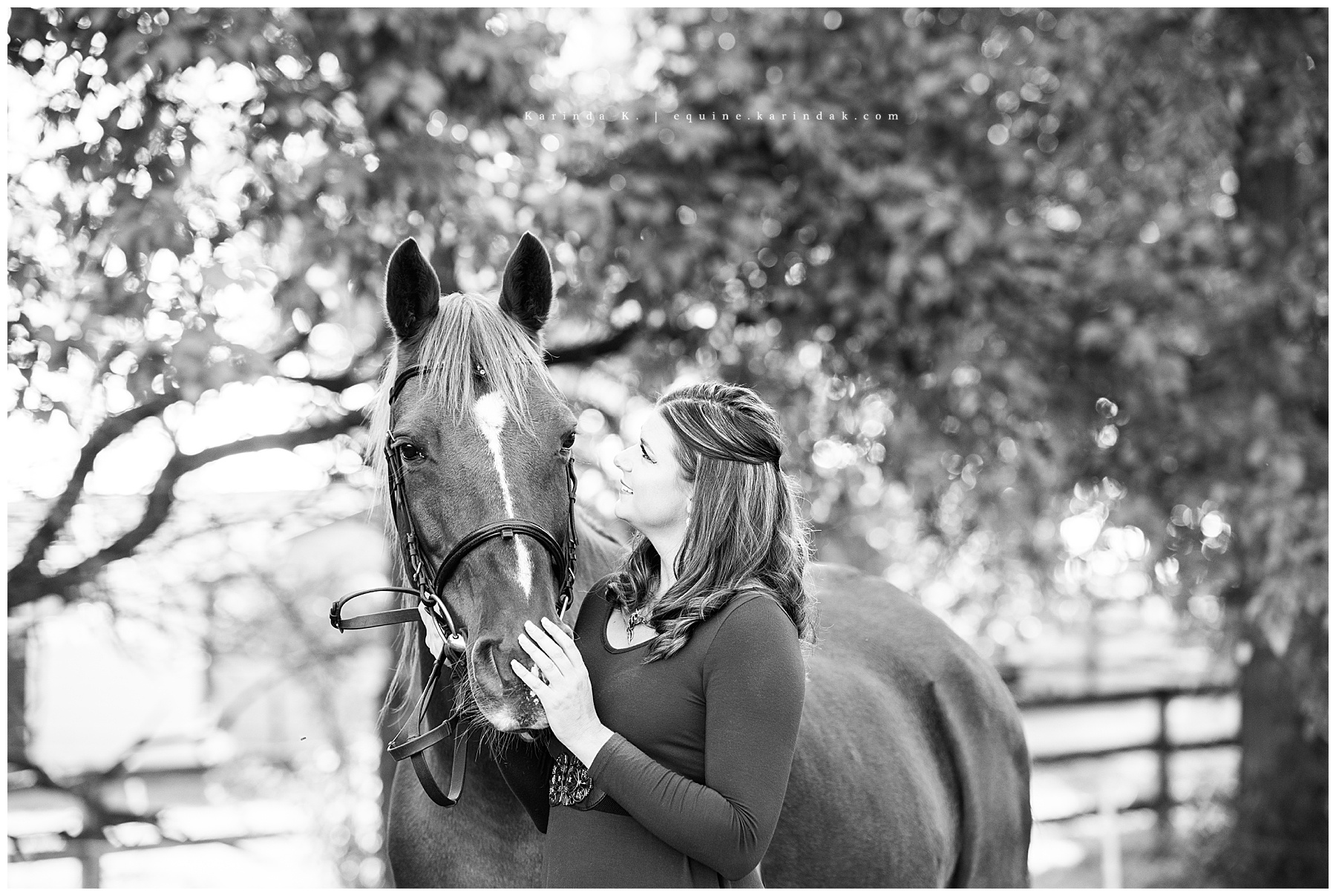Kentucky Equestrian Photographer Dressage Horse