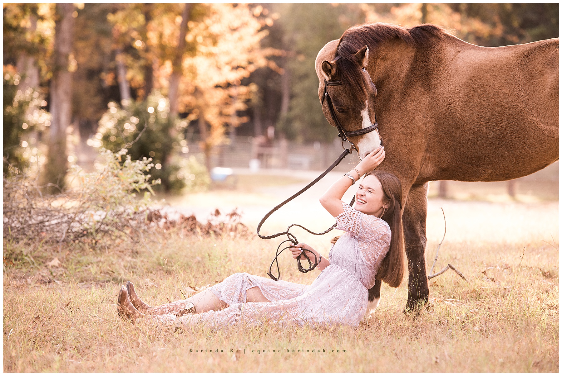 houston equine photographer