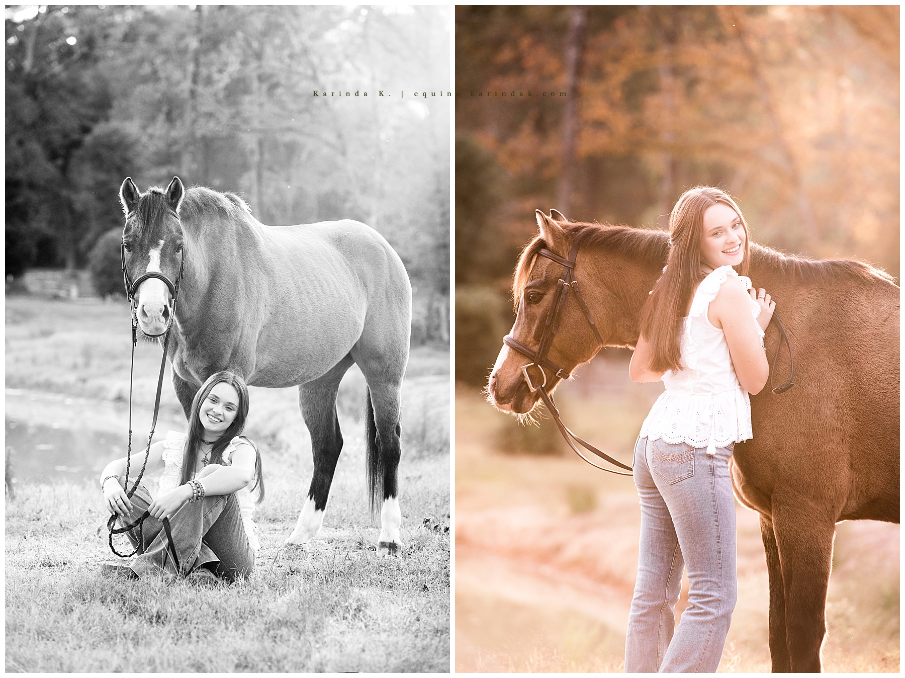 equine photographer in houston, tx
