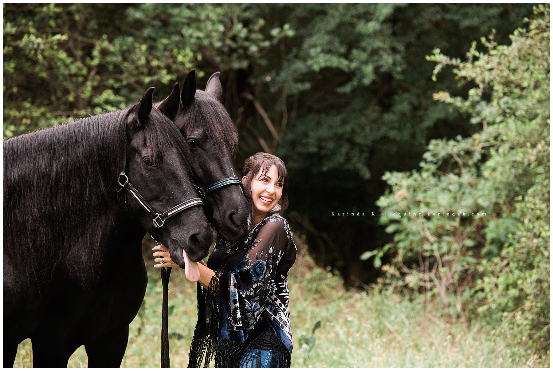 Tennessee Walker Equine Photographer Bastrop, TX 