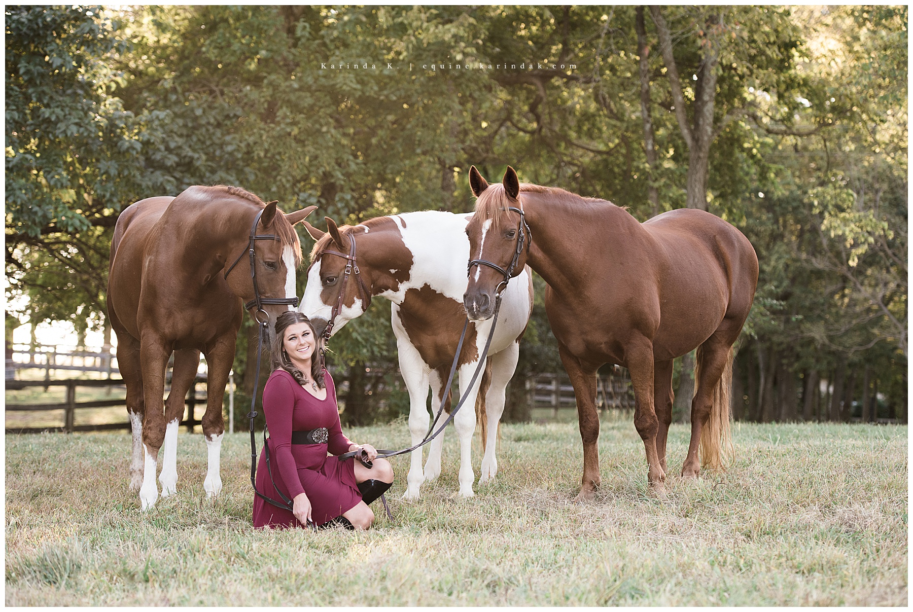 Louisville Horse & Rider Portrait Photographer Karinda K.