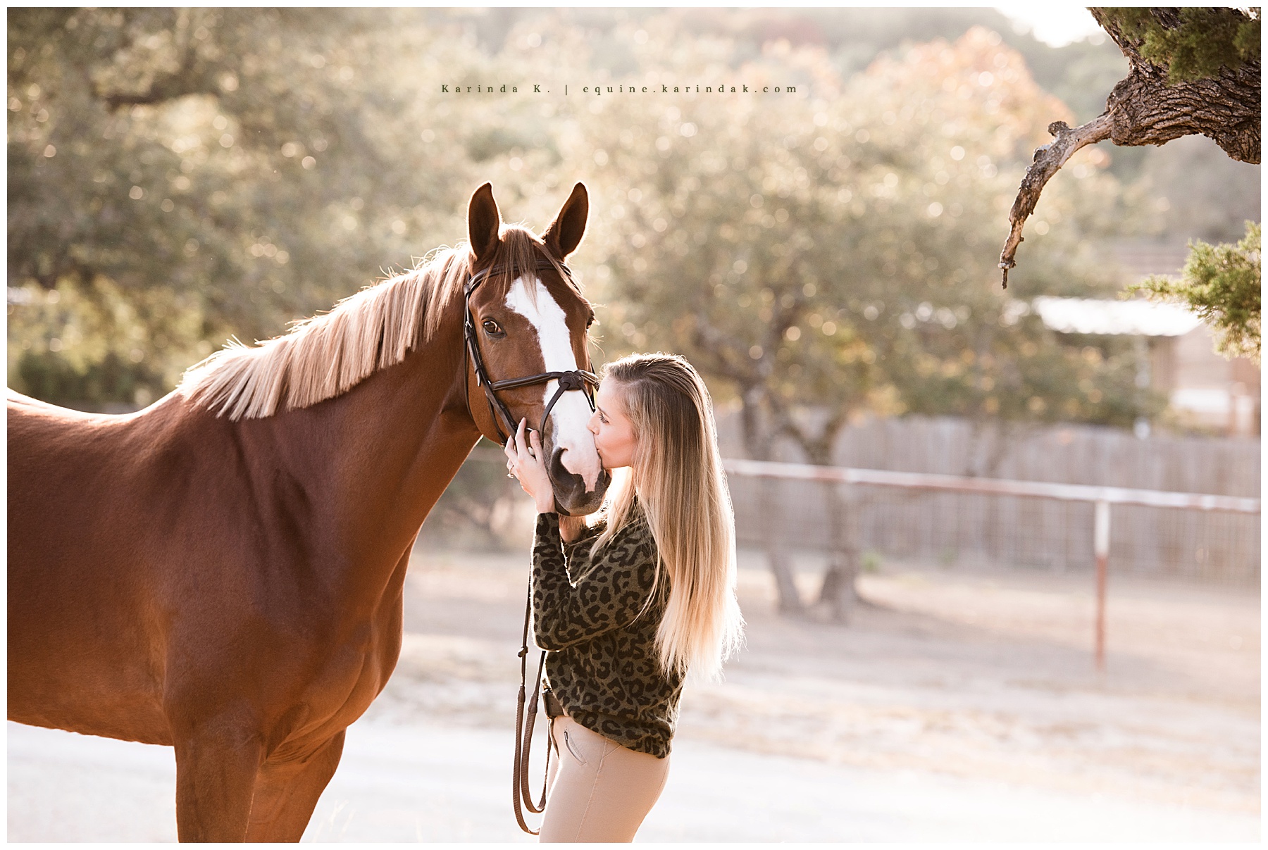 texas equine photographer