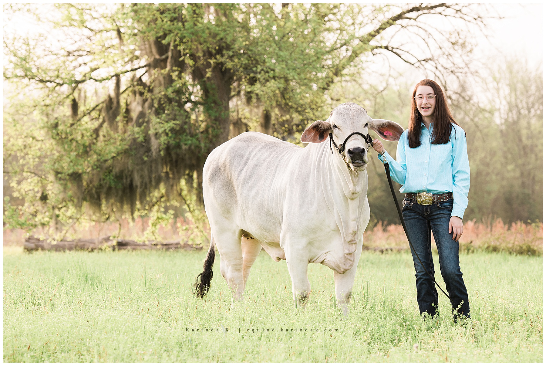 farm animal photographer texas 