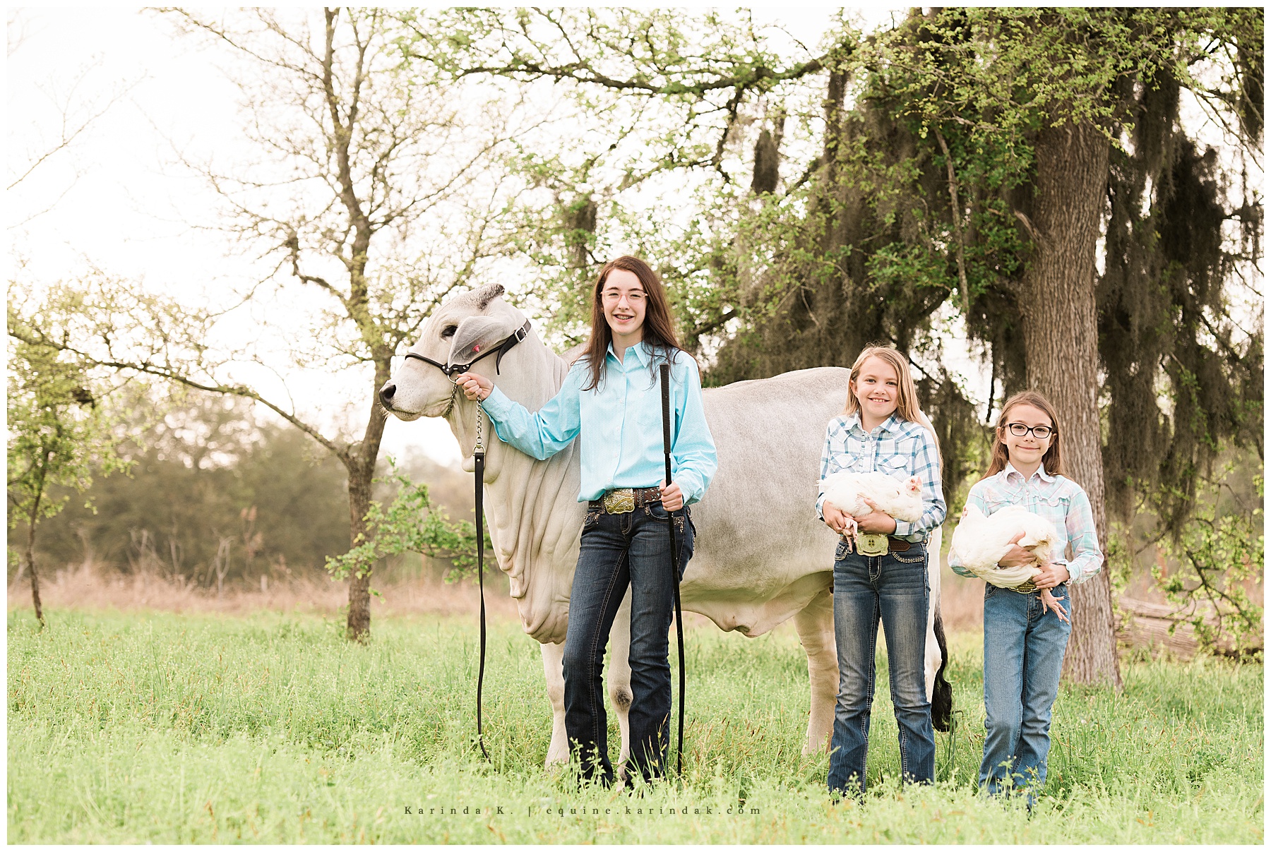 ranch portraits of children with family pets magnolia, tx 